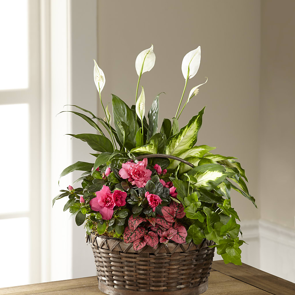 Dream in Pink Dishgarden – A Country Home Floral, Baker City OR