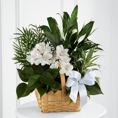 Peace & Serenity Dishgarden –  A Country Home Floral, Baker City OR