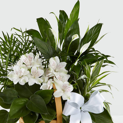 Peace & Serenity Dishgarden –  A Country Home Floral, Baker City OR