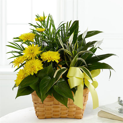 Loving Light Dishgarden –  A Country Home Floral, Baker City OR