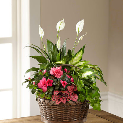 Dream in Pink Dishgarden –  A Country Home Floral, Baker City OR