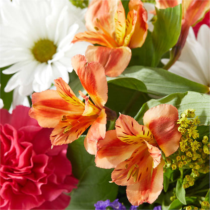 Oopsie Daisy Box Bouquet –  A Country Home Floral, Baker City OR
