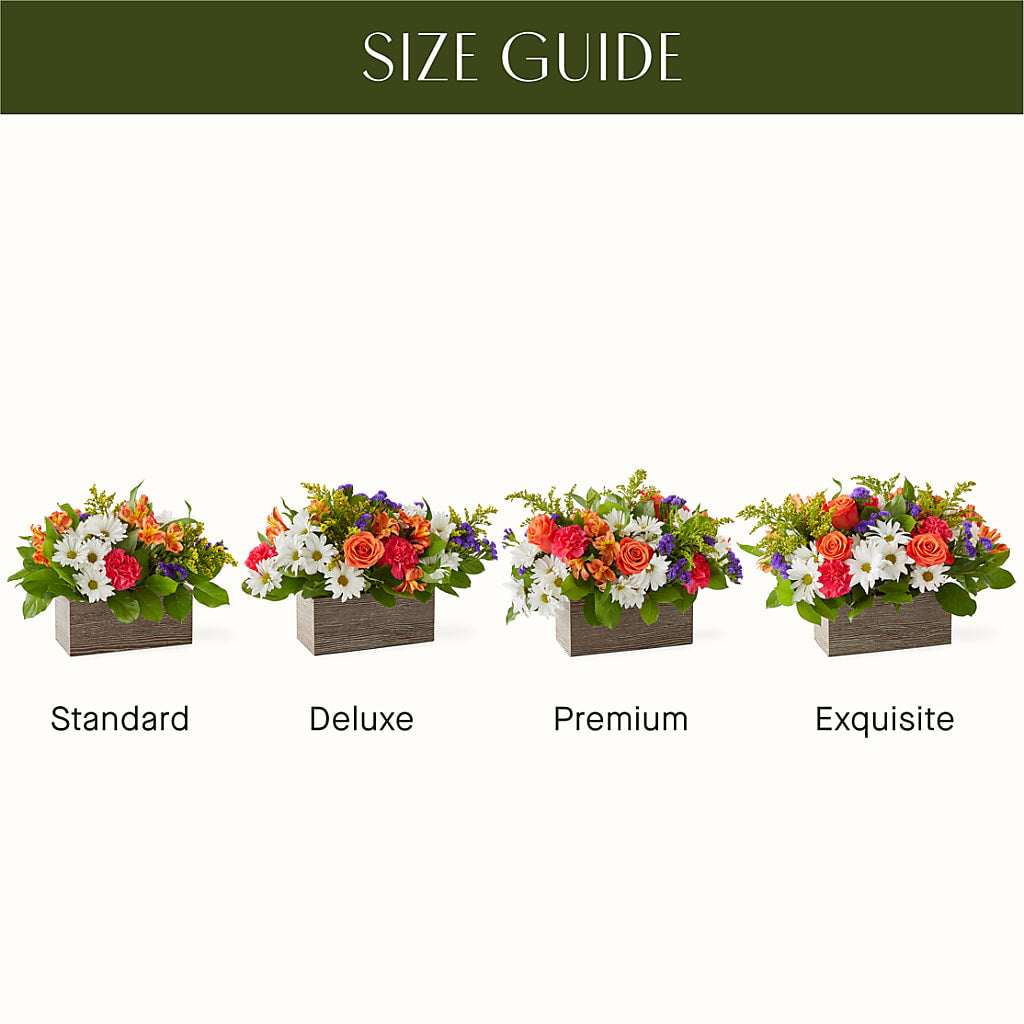 Oopsie Daisy Box Bouquet –  A Country Home Floral, Baker City OR