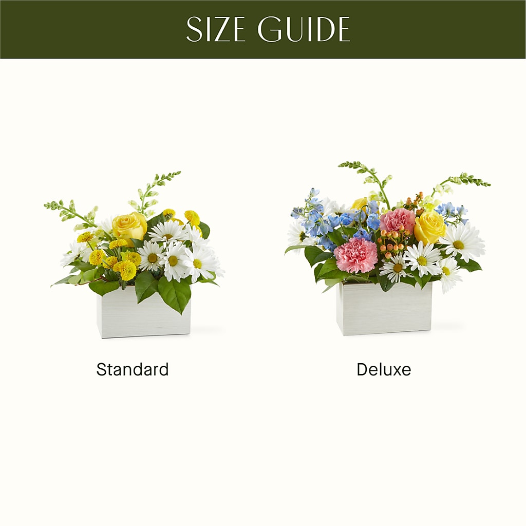 Sun Salutation Box Bouquet –  A Country Home Floral, Baker City OR