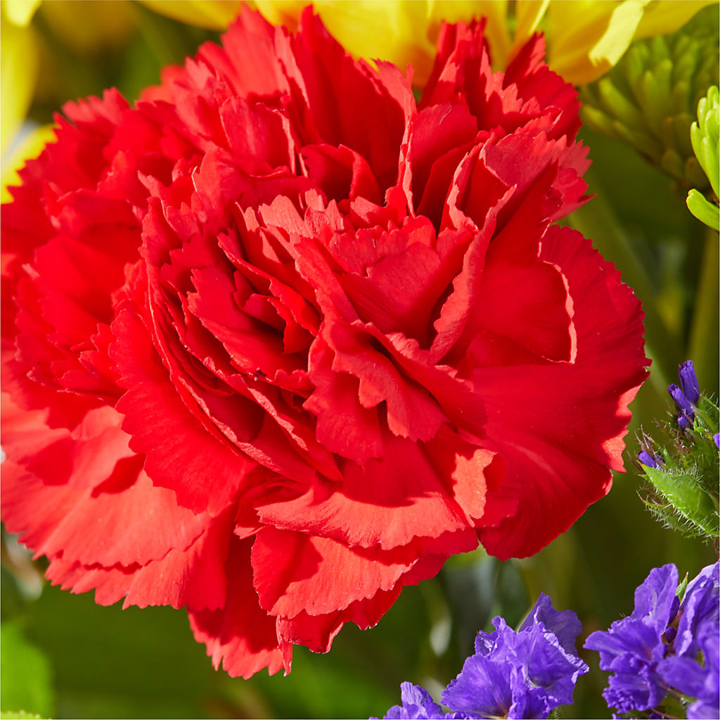 Brighter Days Bouquet –  A Country Home Floral, Baker City OR