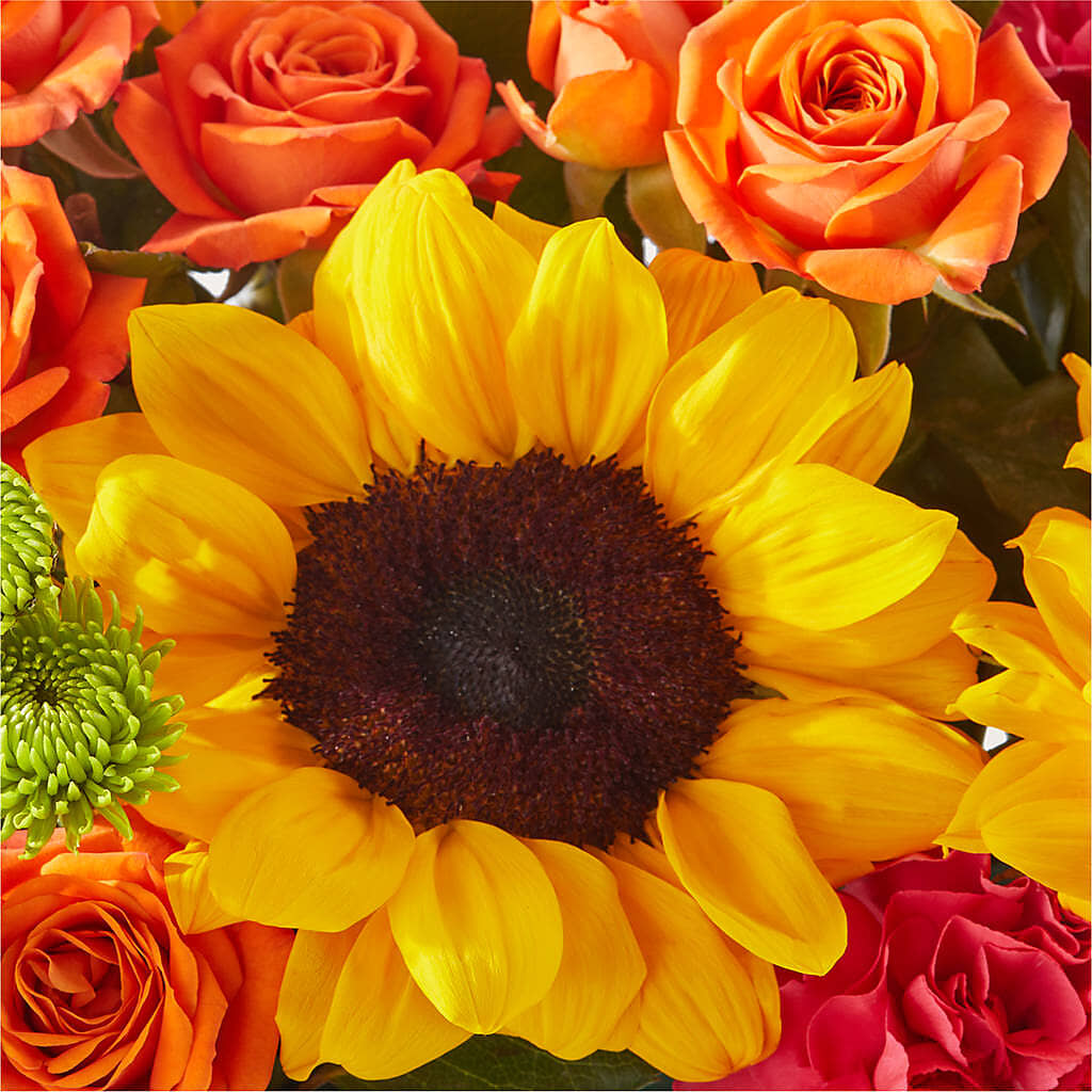 Sun-drenched Blooms Box Bouquet –  A Country Home Floral, Baker City OR