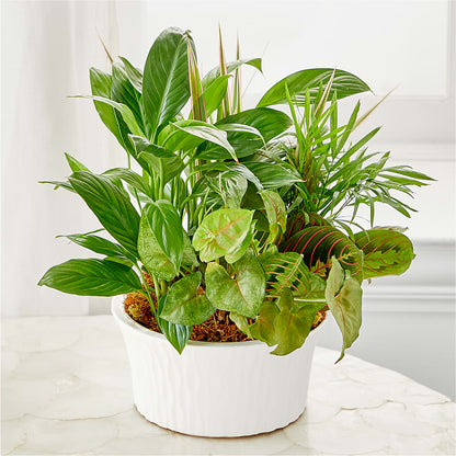 Balance & Harmony Dishgarden –  A Country Home Floral, Baker City OR