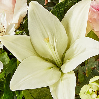 Ballet Slippers Bouquet –  A Country Home Floral, Baker City OR